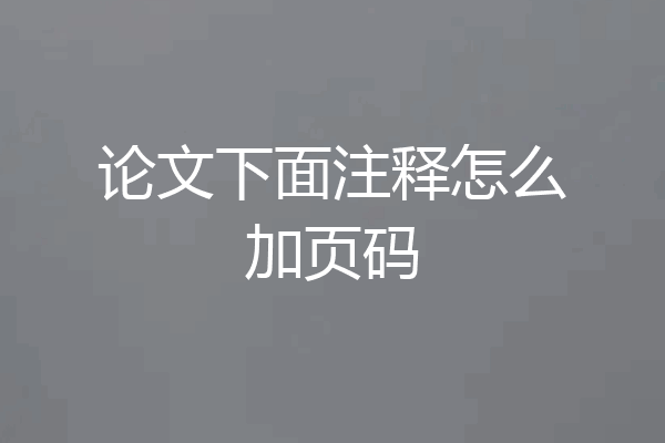 论文下面注释怎么加页码