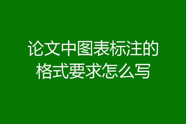 论文中图表标注的格式要求怎么写