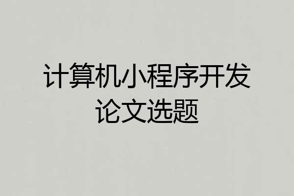 计算机小程序开发论文选题