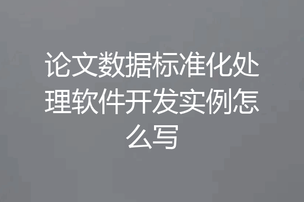 论文数据标准化处理软件开发实例怎么写