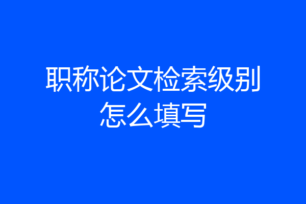职称论文检索级别怎么填写