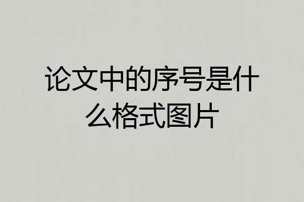 论文中的序号是什么格式图片