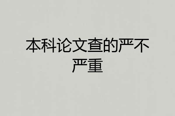 本科论文查的严不严重