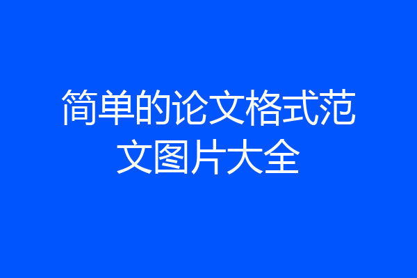 简单的论文格式范文图片大全