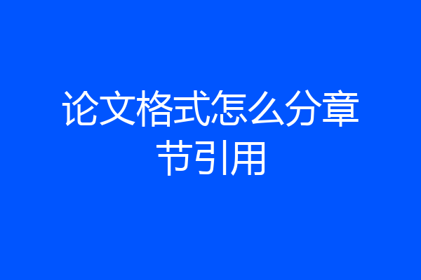 论文格式怎么分章节引用