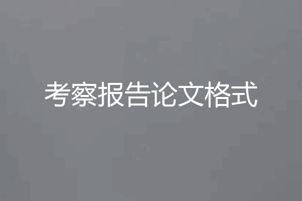 考察报告论文格式