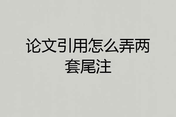 论文引用怎么弄两套尾注