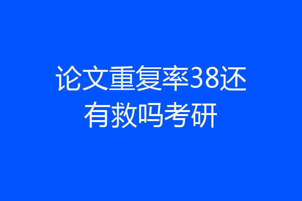 论文重复率38还有救吗考研