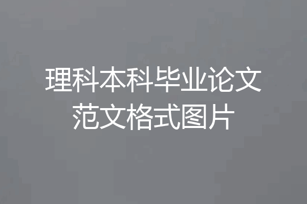 理科本科毕业论文范文格式图片