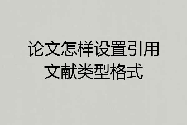 论文怎样设置引用文献类型格式