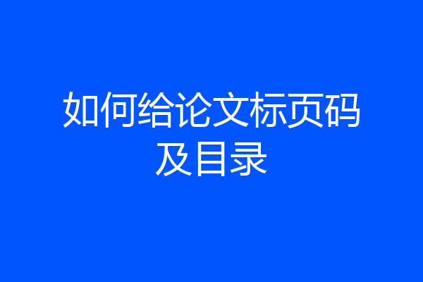 如何给论文标页码及目录