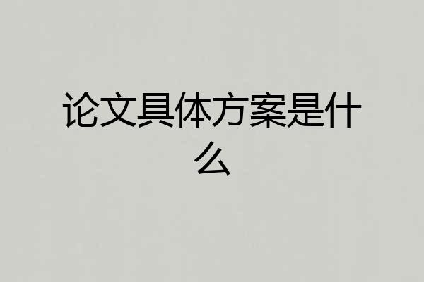 论文具体方案是什么