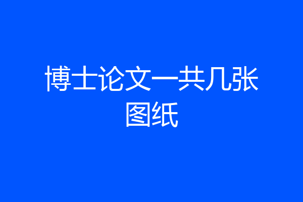 博士论文一共几张图纸
