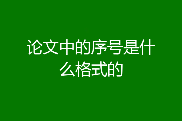 论文中的序号是什么格式的