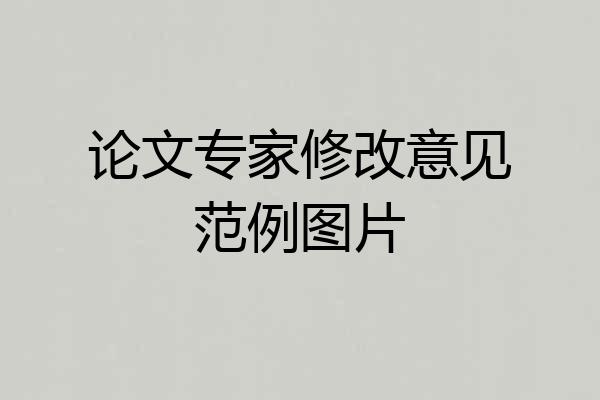 论文专家修改意见范例图片