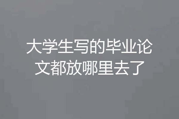 大学生写的毕业论文都放哪里去了
