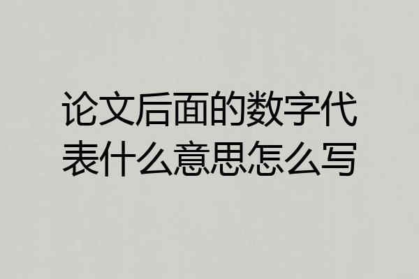 论文后面的数字代表什么意思怎么写