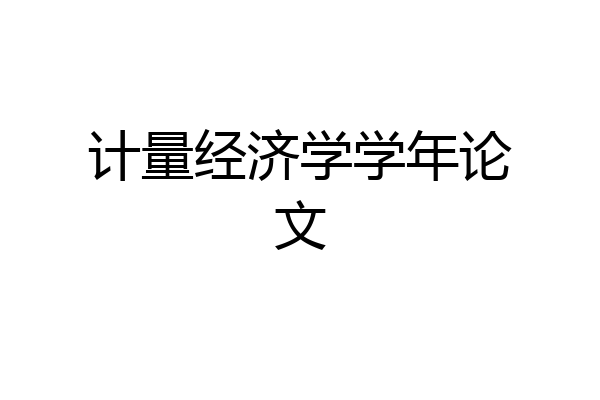 计量经济学学年论文