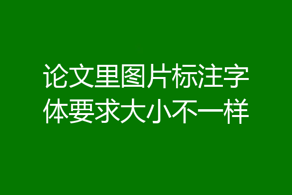 论文里图片标注字体要求大小不一样