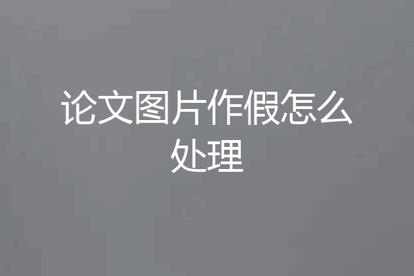 论文图片作假怎么处理