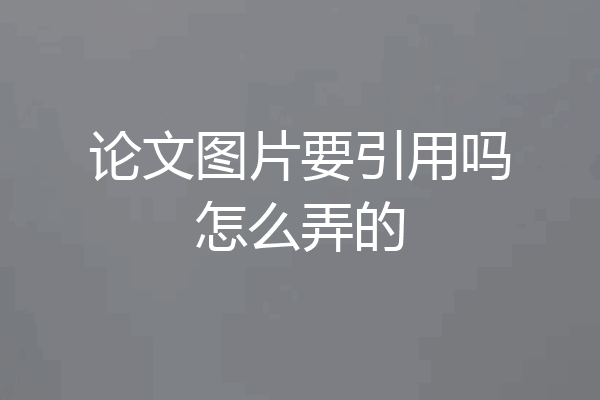 论文图片要引用吗怎么弄的