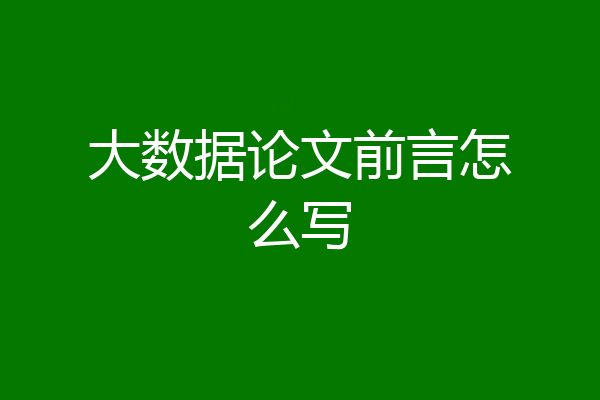 大数据论文前言怎么写