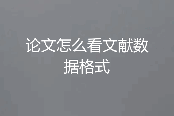 论文怎么看文献数据格式