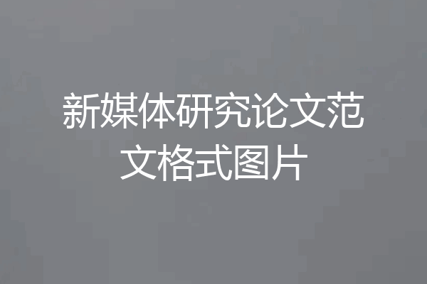 新媒体研究论文范文格式图片
