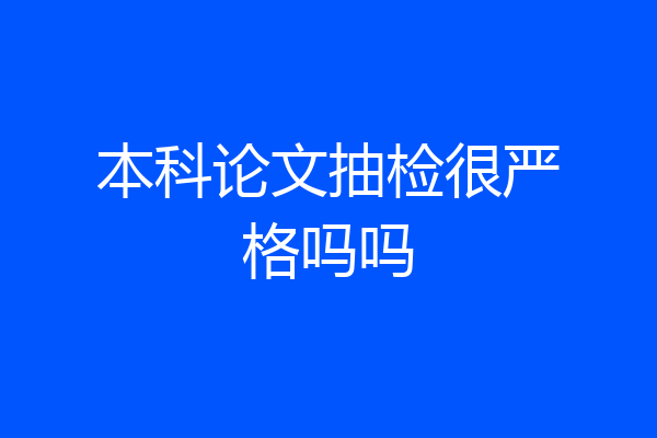 本科论文抽检很严格吗吗