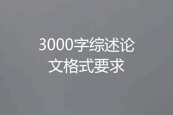 3000字综述论文格式要求