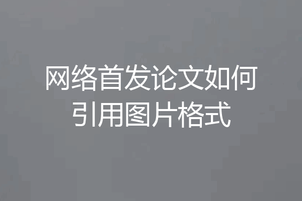 网络首发论文如何引用图片格式