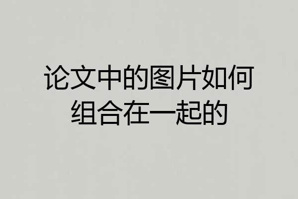 论文中的图片如何组合在一起的