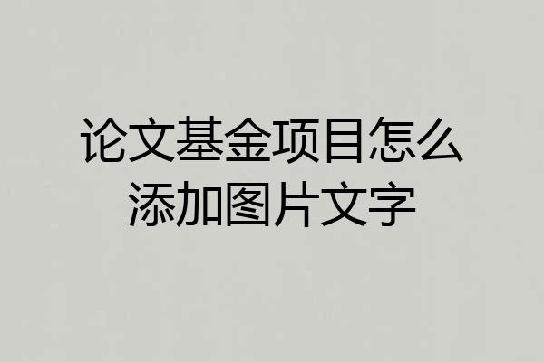 论文基金项目怎么添加图片文字