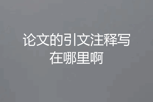 论文的引文注释写在哪里啊
