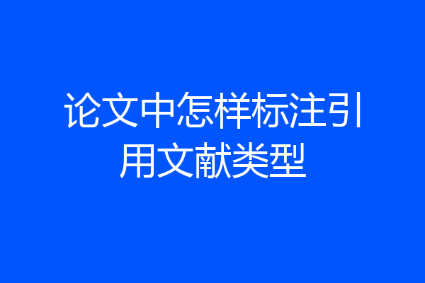 论文中怎样标注引用文献类型