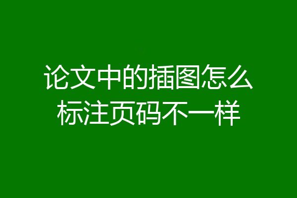 论文中的插图怎么标注页码不一样