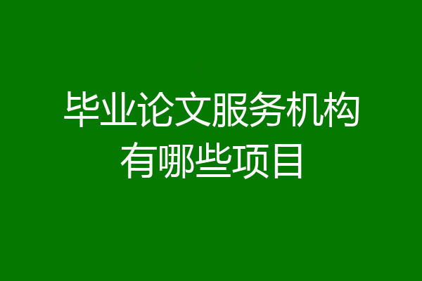 毕业论文服务机构有哪些项目