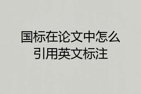 国标在论文中怎么引用英文标注