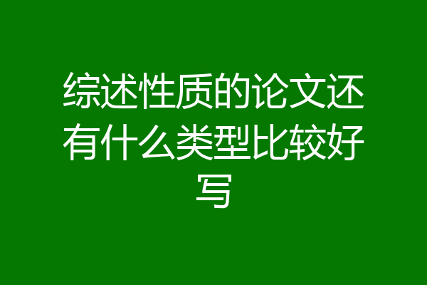 综述性质的论文还有什么类型比较好写