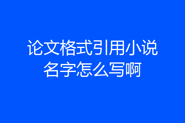 论文格式引用小说名字怎么写啊