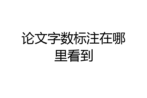 论文字数标注在哪里看到