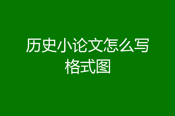 历史小论文怎么写格式图