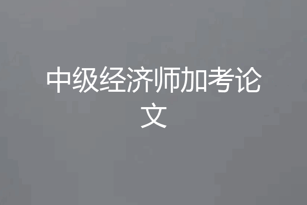 中级经济师加考论文
