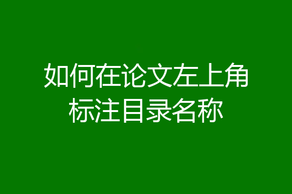 如何在论文左上角标注目录名称
