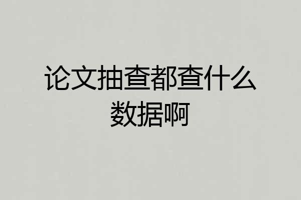 论文抽查都查什么数据啊