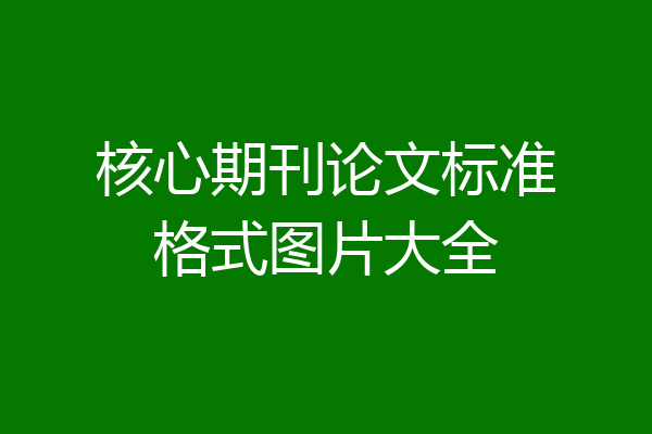 核心期刊论文标准格式图片大全