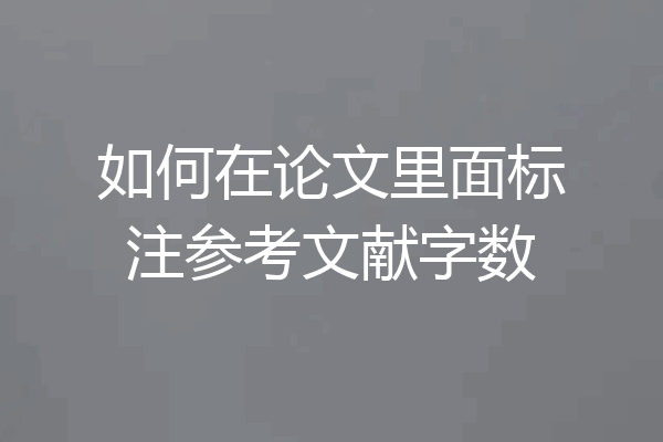 如何在论文里面标注参考文献字数