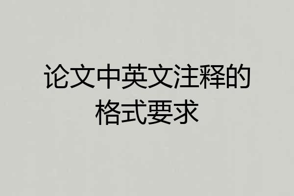 论文中英文注释的格式要求