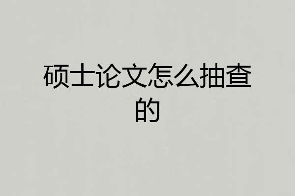 硕士论文怎么抽查的