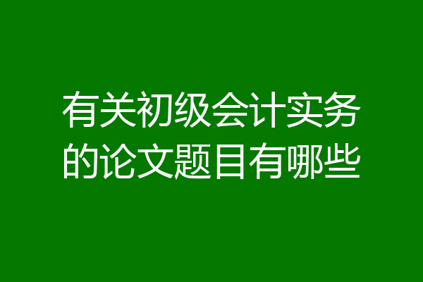 有关初级会计实务的论文题目有哪些